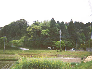 矢作城