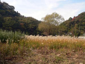 永福寺