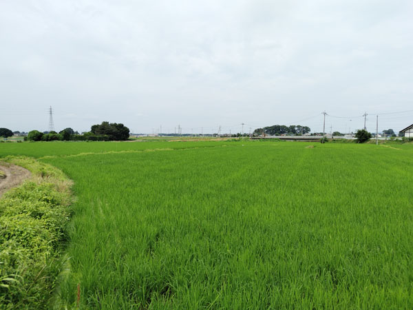 結城城南
