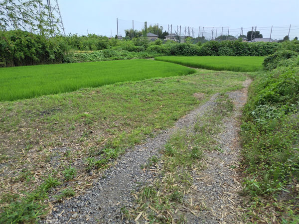 福厳寺口