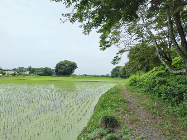 大谷瀬口方面