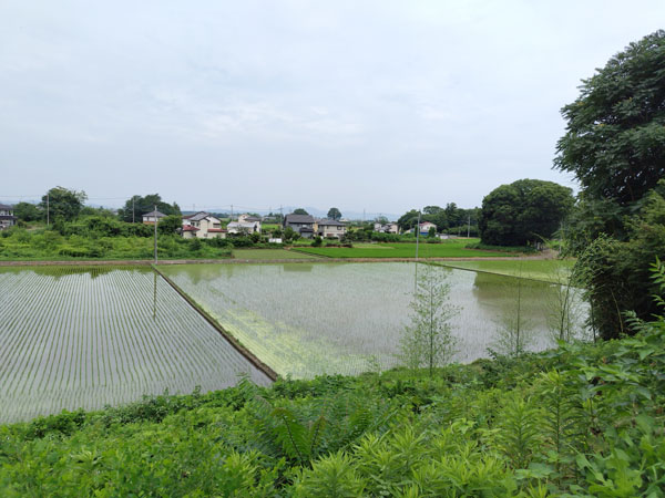 結城城東側