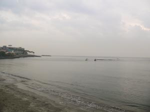若江島、小坪